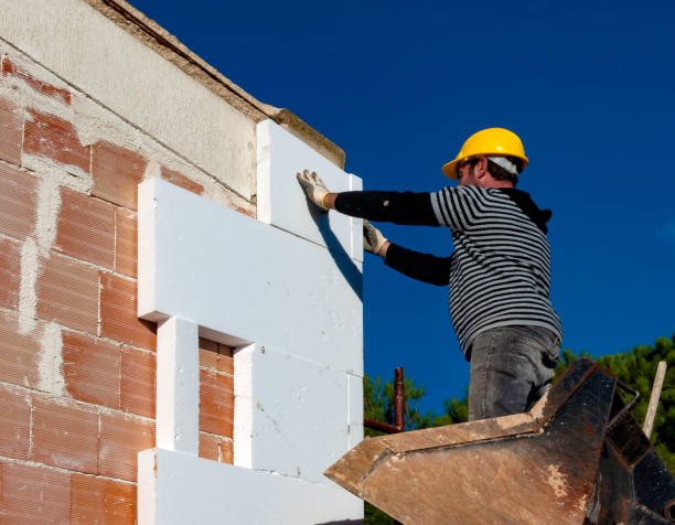 Best Geographic-Specific Insulation Services in Clayton, DE