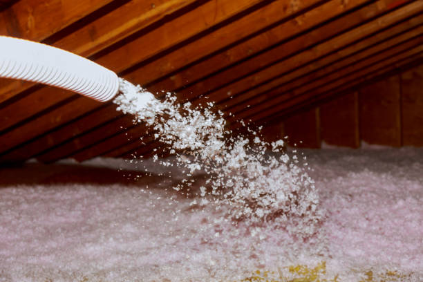 Best Eco-Friendly Insulation in Clayton, DE