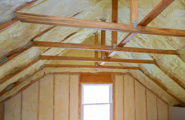 Best Specialized Insulation Services in Clayton, DE