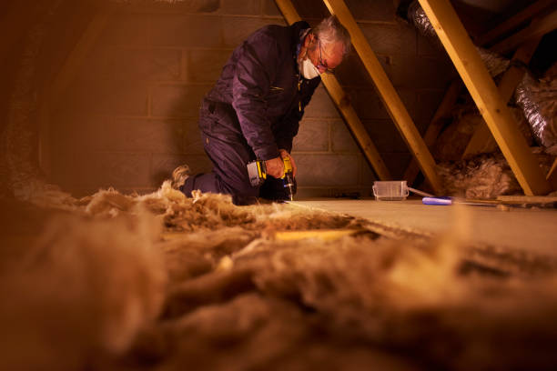 Best Specialized Insulation Services in Clayton, DE